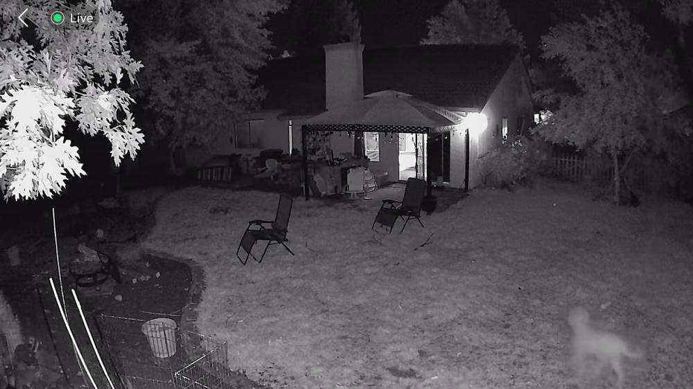Infrared yard